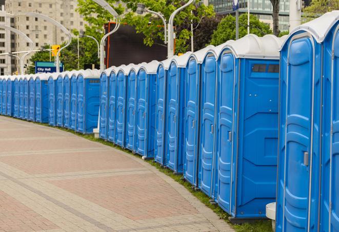 hygienic portable restrooms lined up at a music festival, providing comfort and convenience for attendees in Fanwood NJ